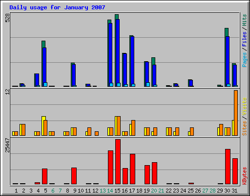 Daily usage for January 2007