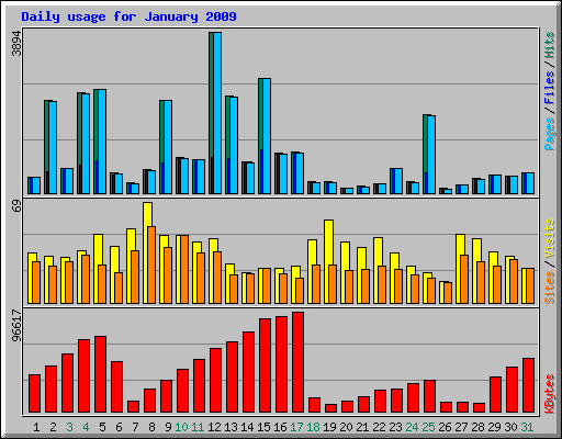 Daily usage for January 2009