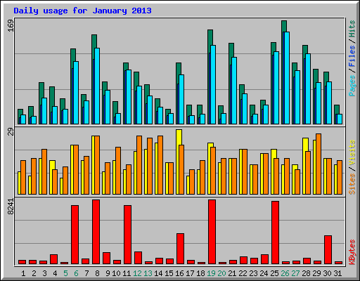 Daily usage for January 2013