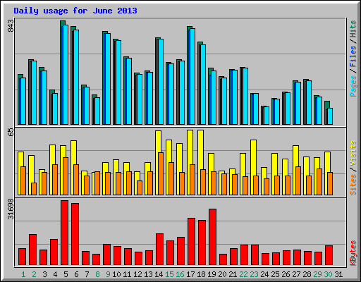 Daily usage for June 2013