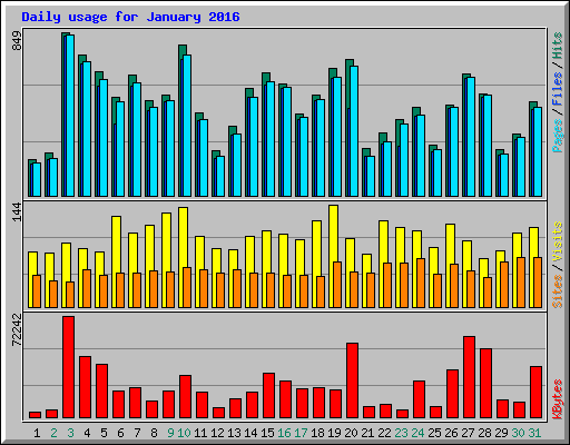 Daily usage for January 2016