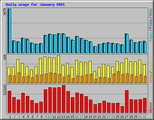 Daily usage for January 2021