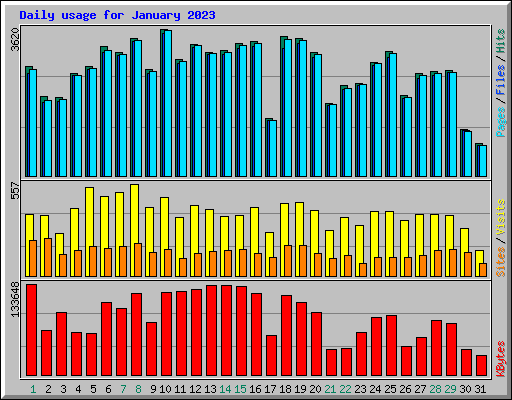Daily usage for January 2023