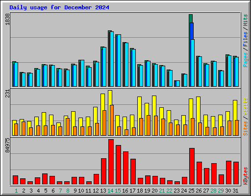 Daily usage for December 2024