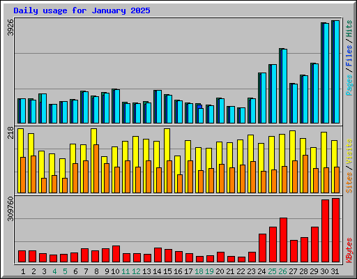 Daily usage for January 2025