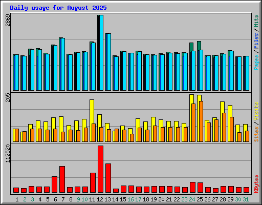 Daily usage for August 2025