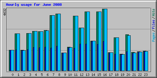 Hourly usage for June 2008