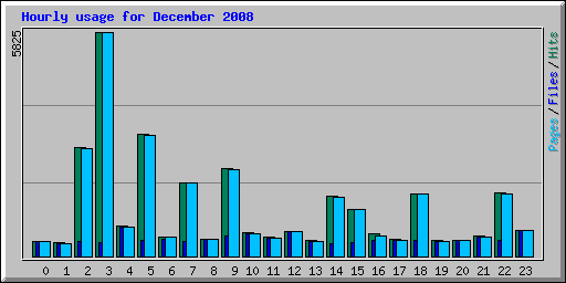 Hourly usage for December 2008
