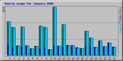 Hourly usage for January 2009