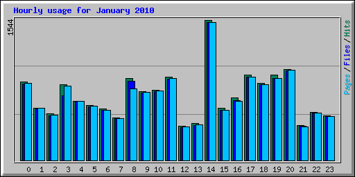 Hourly usage for January 2010