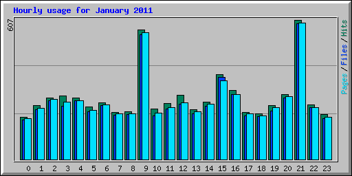Hourly usage for January 2011