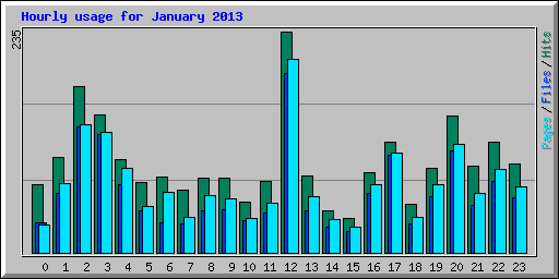 Hourly usage for January 2013