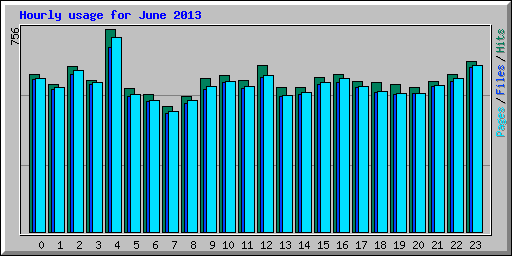 Hourly usage for June 2013