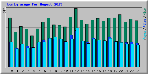 Hourly usage for August 2013