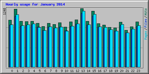 Hourly usage for January 2014