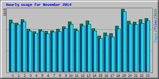 Hourly usage for November 2014