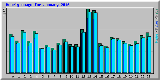 Hourly usage for January 2016