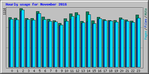 Hourly usage for November 2016