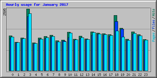 Hourly usage for January 2017