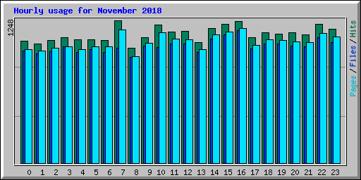 Hourly usage for November 2018