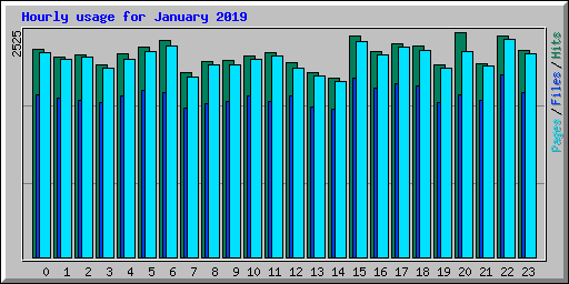 Hourly usage for January 2019