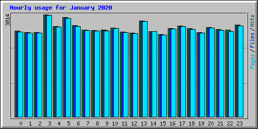 Hourly usage for January 2020