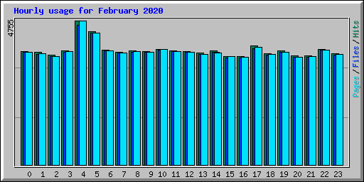Hourly usage for February 2020