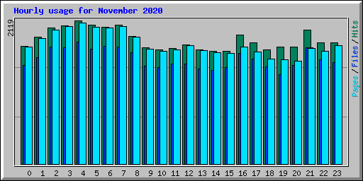 Hourly usage for November 2020