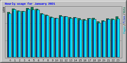 Hourly usage for January 2021