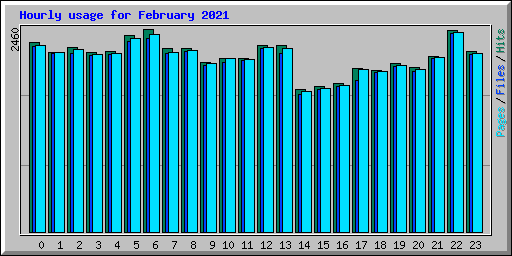 Hourly usage for February 2021