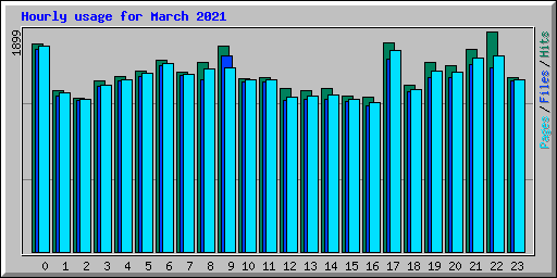 Hourly usage for March 2021