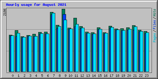 Hourly usage for August 2021