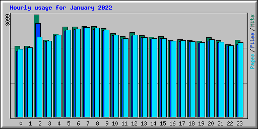 Hourly usage for January 2022