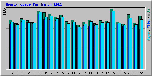 Hourly usage for March 2022