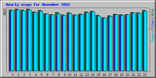 Hourly usage for November 2022