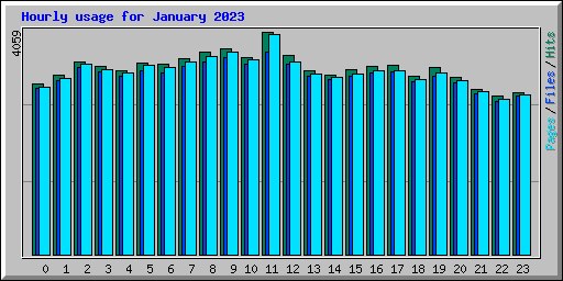 Hourly usage for January 2023
