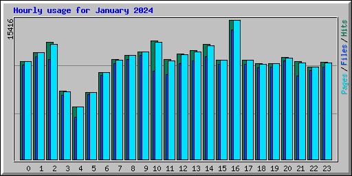 Hourly usage for January 2024