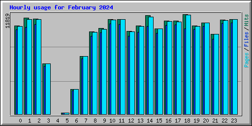 Hourly usage for February 2024