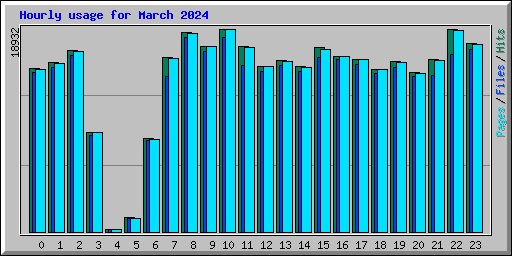 Hourly usage for March 2024