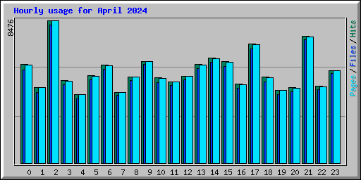 Hourly usage for April 2024