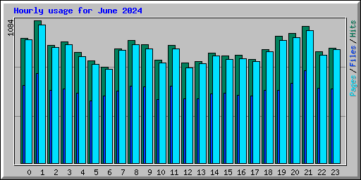 Hourly usage for June 2024