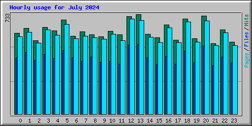 Hourly usage for July 2024