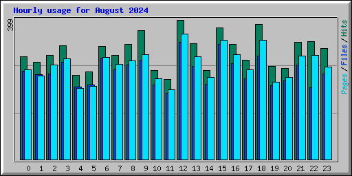 Hourly usage for August 2024