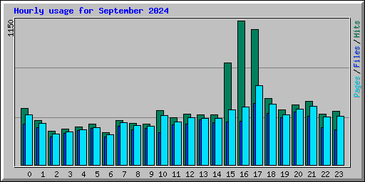 Hourly usage for September 2024