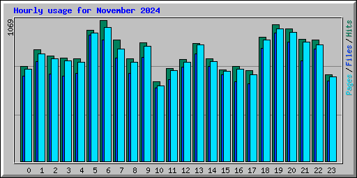 Hourly usage for November 2024