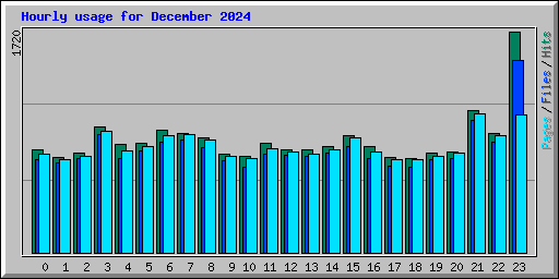 Hourly usage for December 2024