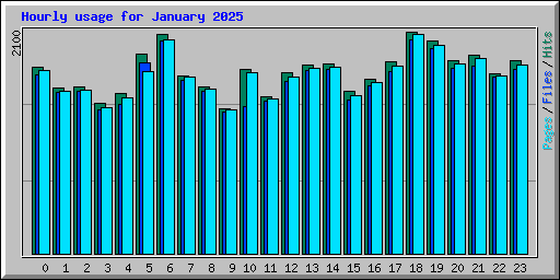 Hourly usage for January 2025