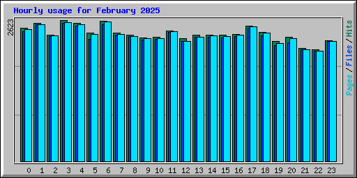Hourly usage for February 2025