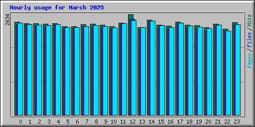 Hourly usage for March 2025