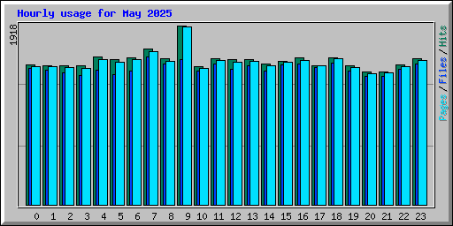 Hourly usage for May 2025